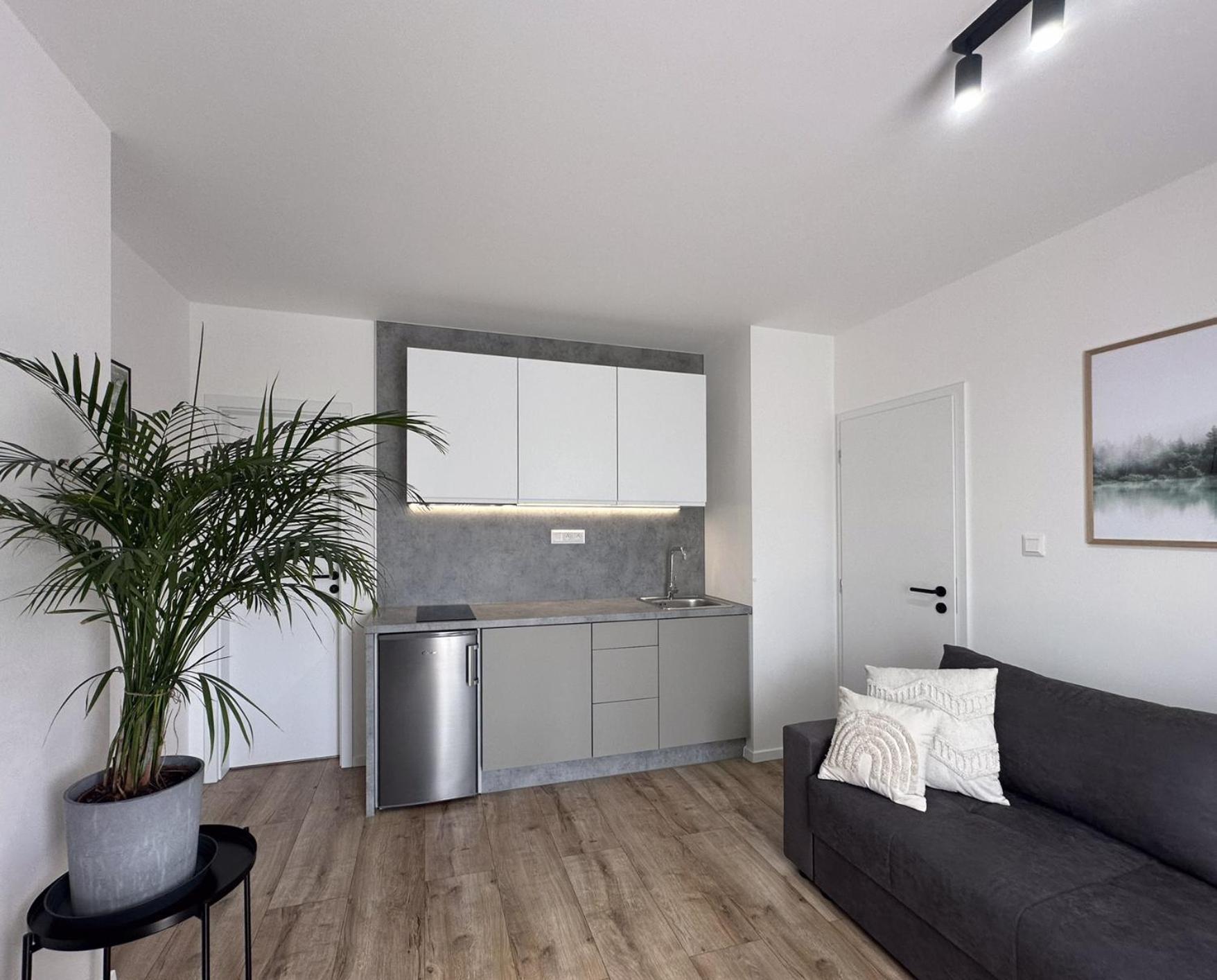 Lucina Apartment Velky Slavkov